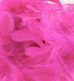 Eleganza Feathers Mixed sizes 3inch-5inch 50g bag Fuchsia No.28 - Accessories